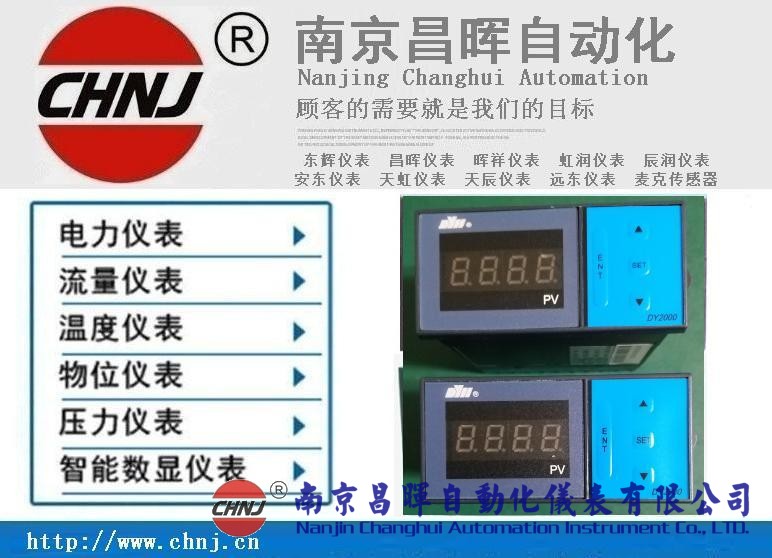 大延牌DY2000、東輝儀表、DY28B02/DY21B02/DY29B02數(shù)顯表